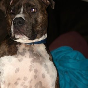 Meet your Posher, Derek